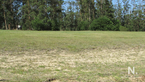 Terreno En Venta En Las Garzas.