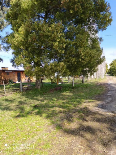 Imagen 17 de 30 de Lindísimo Campo En Veronica, Punta Indio