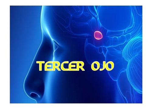 Activando El Tercer Ojo - Video Taller