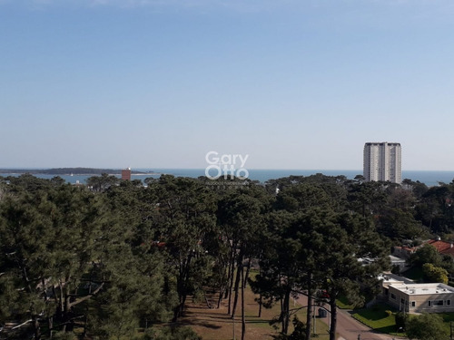 Imagen 6 de 21 de Apartamento En Zona De Roosevelt