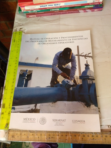 Programa De Mejoramiento De Eficiencias De Org Operadores (Usado)