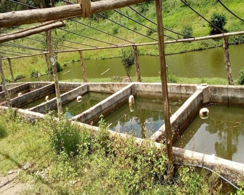 Imagem 24 de 30 de Sitio À Venda Em Juquitiba, - 21 - 32982657