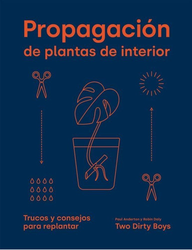 Propagacion De Plantas De Interior