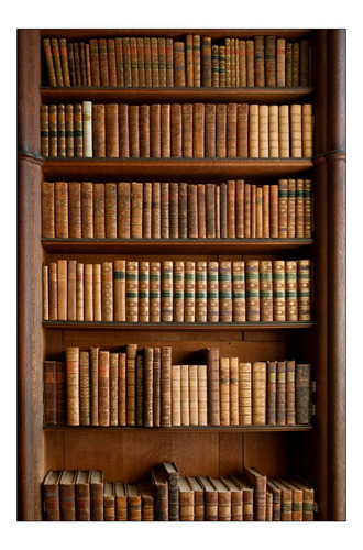 Vinilo Decorativo 40x60cm Libro Leer Literatura Historia M3