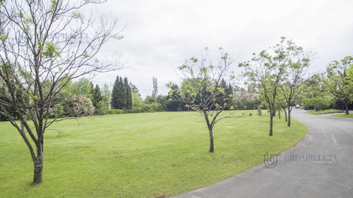 Lote De 1.965,00 M² En Venta En Martindale - Teresa Urdapilleta Propiedades