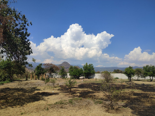 Venta De Terrenos En Tlayacapan, Morelos Todo O En Lotes