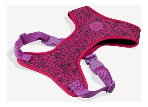 Arnés Para Perro Brain Air Mesh Zeedog Talla Xs