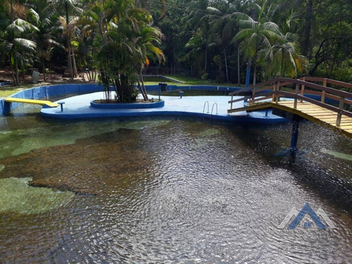 Chácara Com 2 Dormitórios À Venda, 9252 M² Por R$ 1.280.000,00 - Rui Barbosa - Londrina/pr - Ch0041
