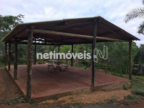 Imagem 17 de 29 de Venda Chácara Fazenda Manga Estiva Cristalina - 733717