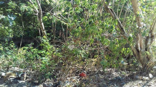Imagem 1 de 5 de Terreno À Venda, 657 M² Por R$ 450.000,00 - Itaipu - Niterói/rj - Te3343