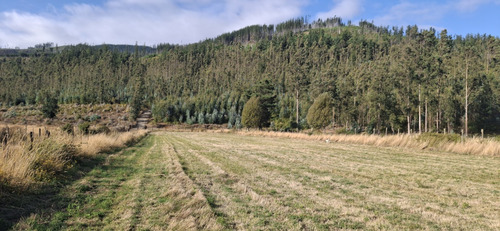 Terrenos Desde Los 5.000mts2 En Cañete