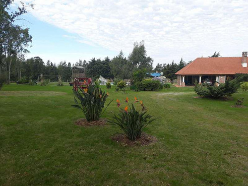 Venta Chacra Permuta Colonia Montevideo Punta Del Este Buenos Aires