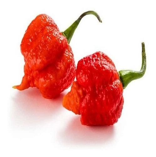 80 Sementes Pimenta Carolina Reaper