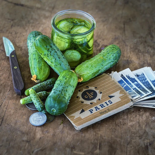 Baker Creek Heirloom Parisian Pickle Cucumber 25 Seed