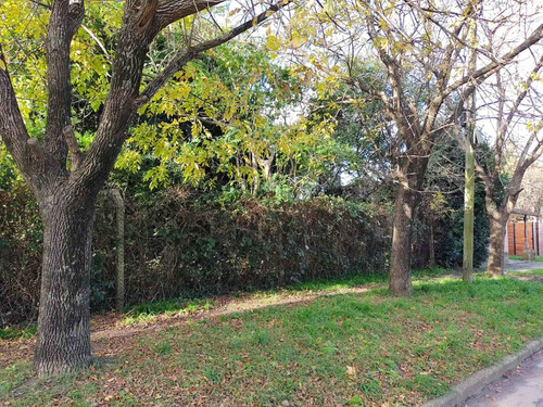 Imagen 2 de 6 de Venta Terreno 837 Metros Zona Rotonda Libertad