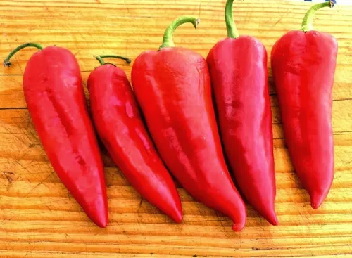 Pimentón Italiano Dulce Capsicum Annuum - 20 Semillas