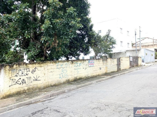 Imagem 2 de 15 de Terreno Para Construção. - Ai10656