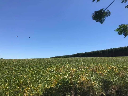 Imagen 9 de 16 de En Venta Parcela De 17 Hectáreas En Miranda