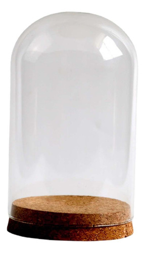Y Cubierta De Cristal De Flores Preservadas, 10cmx16cm