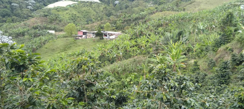 Se Vende Finca En Genova, Quindío