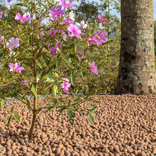 Argila Expandida Drenagem Decorações E Jardim 15kg 50 Litros