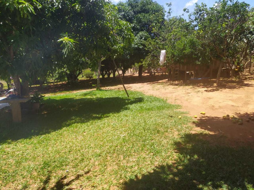 Vd Excelente Chacara 4.000m² -nova Petrópolis-planaltina-go