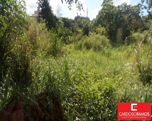 Imagem 7 de 12 de Terreno - Te00101 - 34058162