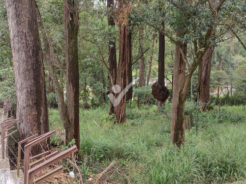 Imagem 8 de 14 de Terreno À Venda Em Itaquera - Te003728