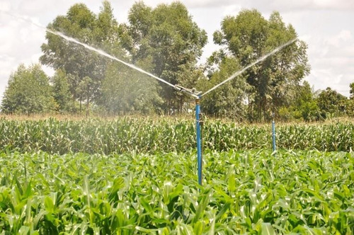 Aspersor Mini Canhão Plona Ks 1500 - 35 Metros - Irrigação