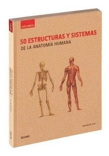 50 Estructuras Y Sistemas De La Anatomía Humana - Guía Breve