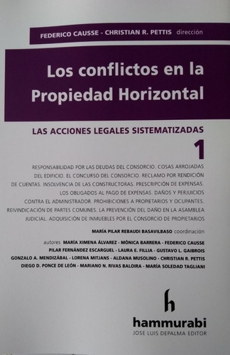 Los Conflictos En La Propiedad Horizontal / Causse - Pettis