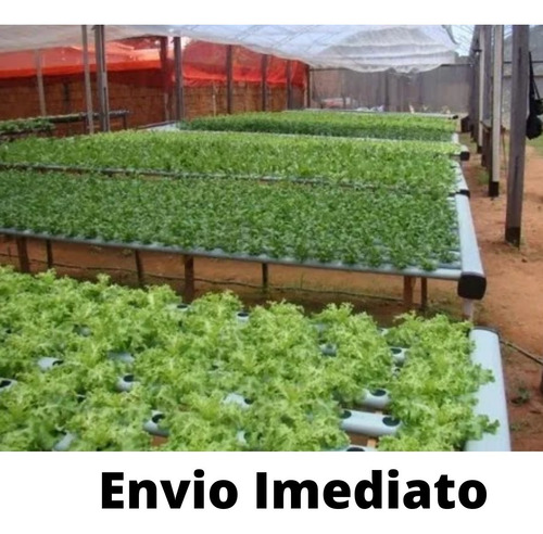 Imagem 1 de 6 de Projeto Horta Orgânica E Hidropônica 3.0 - Envio Imediato