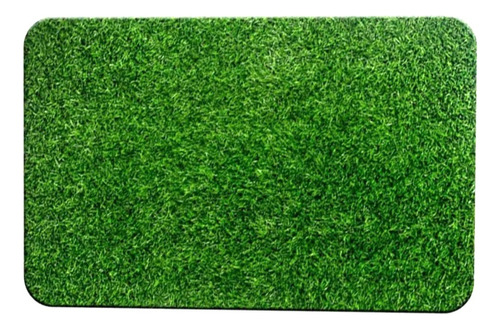 Pasto Artificial Alfombra De 80x50cm