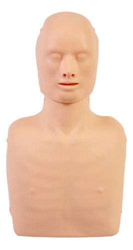 Torso Humano De Rcp Com Desfibrilador (dea) De Treinamento
