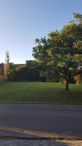 Terreno Central En Venta En Country Cerro Azul