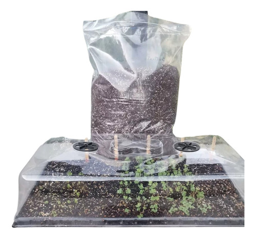 Pack Para Sistema De Cultivo Plantines Almacigos