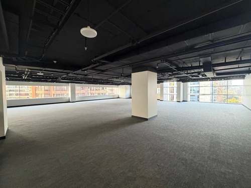 Increible Oficina Recien Remodelada Habiliatada De 312 M2