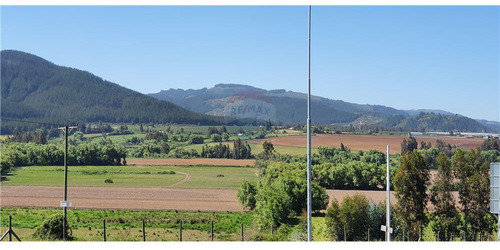 Fundo El Paso. Gran Suelo Agrícola De 128 Ha.