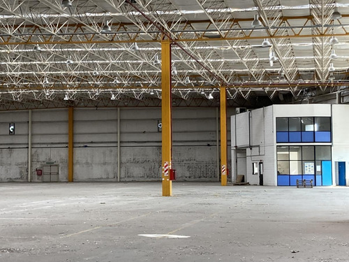 Imagen 10 de 27 de Depósito 6.000m2 - Rosario