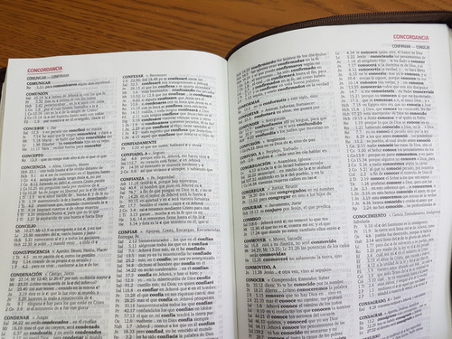 Biblia Reina Valera 1960 Letra Gigante Café Con Cierre