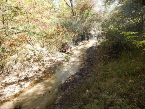 Terrenos O Lotes Venta Nono