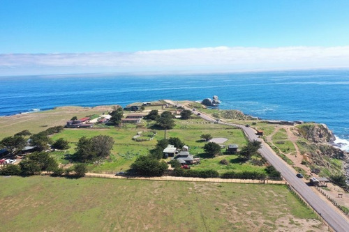 Pionero - Mirador Punta De Lobos