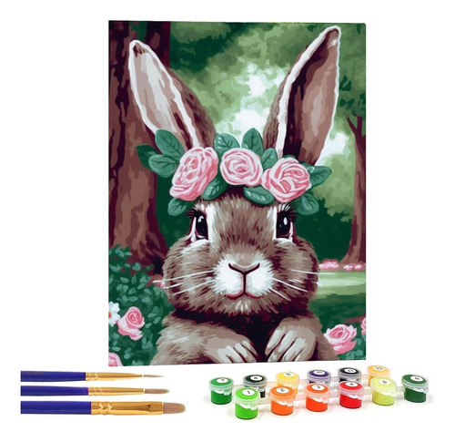 Bimkole Diy Rabbit Paint By Number Kits Animal Pintura Al Ól