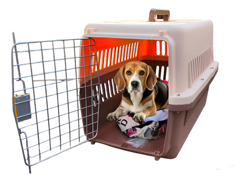 Caja Transportadora Canil Gato Jaula Perro Mascotas Cosas De Gatos Canil Marron Transportador