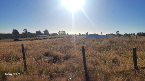 Vive En El Campo, Parcelas En Maullín. (73358)