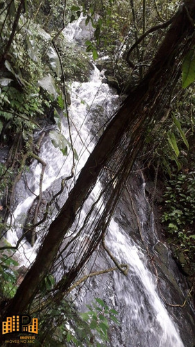 Imagem 8 de 18 de Chácara À Venda 2.749,43m2 Estrada Da Barrinha - São Lourenço/sp - Ch07782 - 69485090