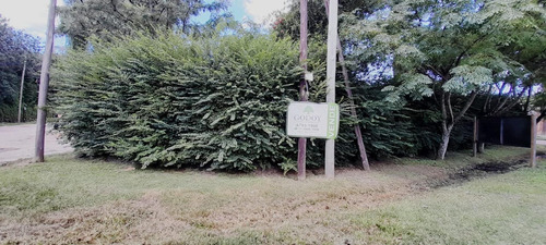 Imagen 7 de 8 de Terreno} Lote Venta