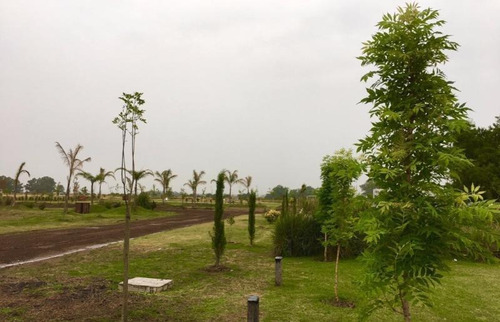Imagen 11 de 13 de Lote En Venta - Campos De La Enriqueta