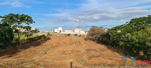 Imagem 8 de 10 de Terreno Comercial - Venda - Grupo Educacional Esquema - Presidente Prudente-sp - 2192
