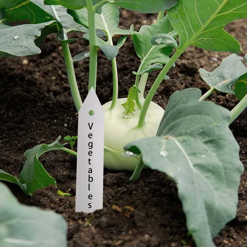 Etiquetas Para Plantas, Etiquetas De Plástico Para Viveros Y